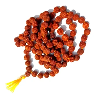 Rudraksha