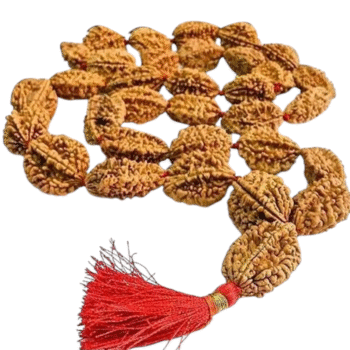 Authentic 2 Face Nepal Rudraksha Mala with 33 Sacred Beads