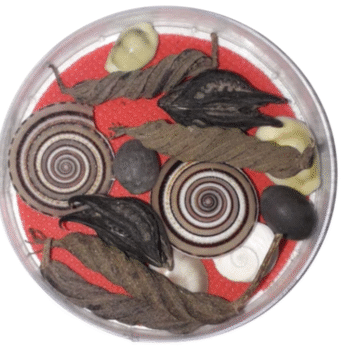 Authentic Lakshmi Kuberan Dhana Vasiam Pooja Set | Wealth Vessel