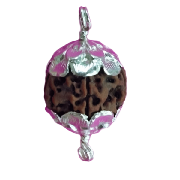 Rudraksha 5face silver cups