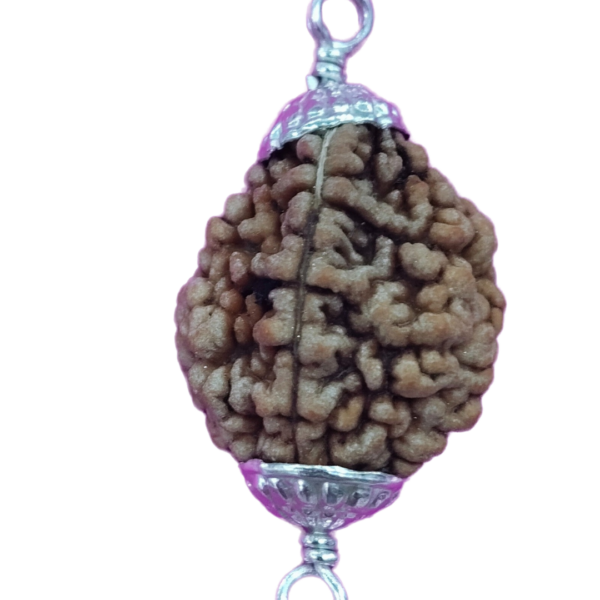 Rudraksha 2face silver cups