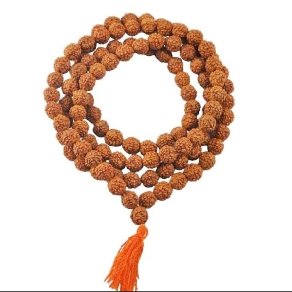Multicolor Rudraksh Japa Mala