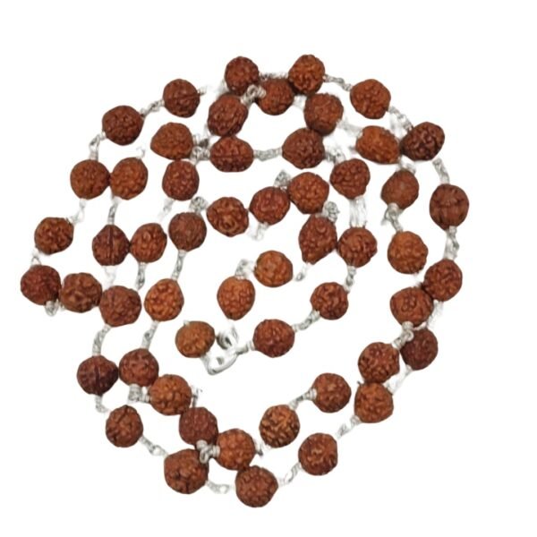 Rudraksha 5Mukhi Silver Mala 54beads mala