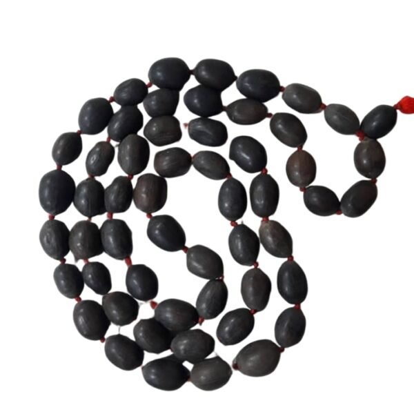 Lotus Seed Mala for Meditation & Spiritual Growth